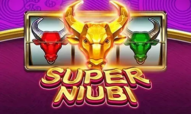Super Niubi